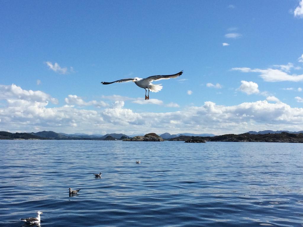 Fjordside Lodge Hordvik Εξωτερικό φωτογραφία